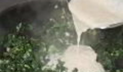 запеканка из зелени в сливочном соусе