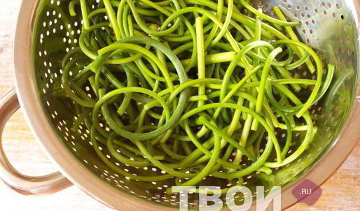 аджика из зеленого перца