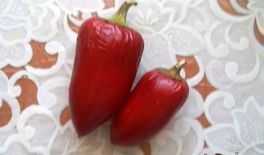 фруктово-овощная аджика на зиму