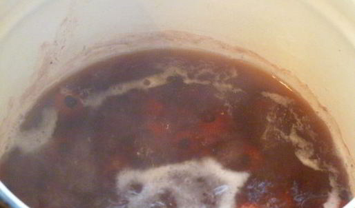 джем из шиповника