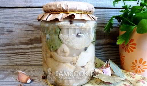 грузди на зиму в банках