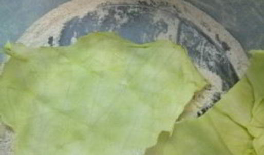 капуста квашеная