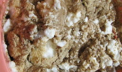 гречневый торт с брусничным компотом