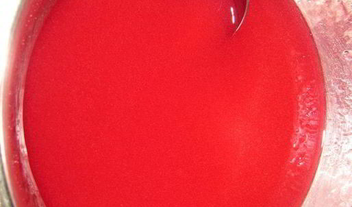 гречневый торт с брусничным компотом