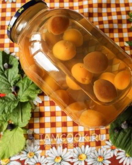 Рецепт компота из абрикосов на зиму