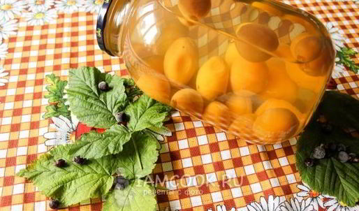 компот из абрикосов на зиму