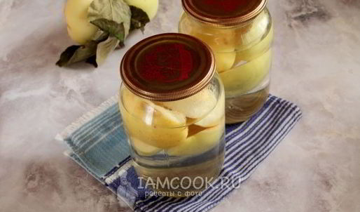 компот из антоновки на зиму