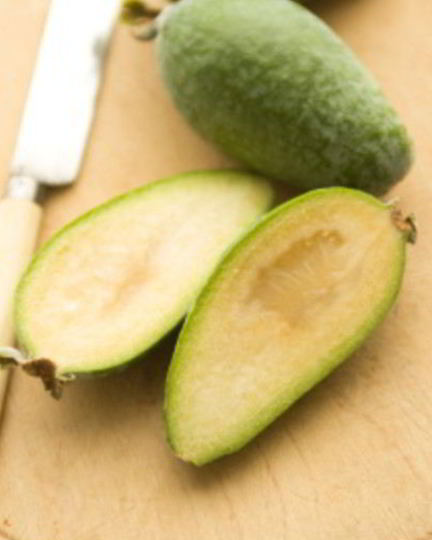 Рецепт компота из фейхоа