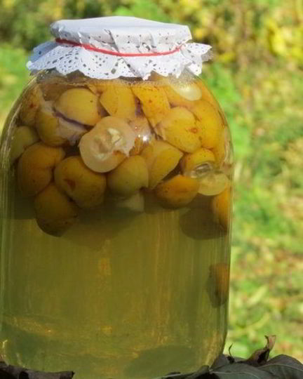 Рецепт компота из лимонника