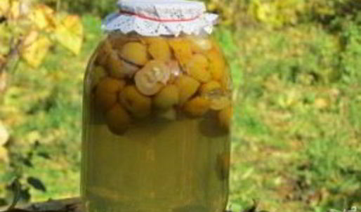 компот из лимонника