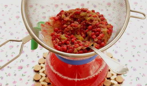 компот из ревеня и красной смородины