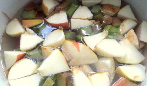 компот из ревеня, яблока и калины
