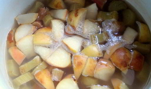 компот из ревеня, яблока и калины