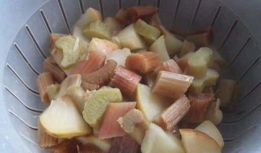 компот из ревеня, яблока и калины