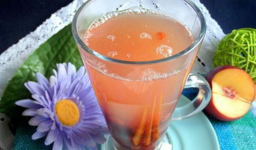 компот из ревеня, яблока и калины