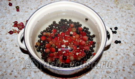 компот из смородины и крыжовника