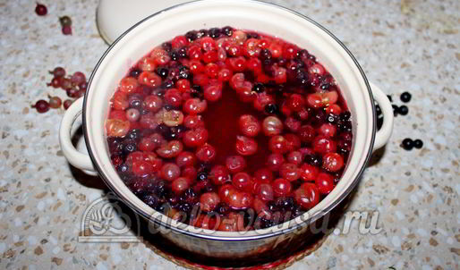 компот из смородины и крыжовника