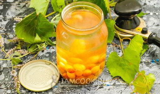 компот из винограда кишмиш на зиму