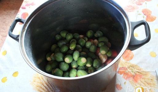 компот из яблок, фейхоа и облипихи