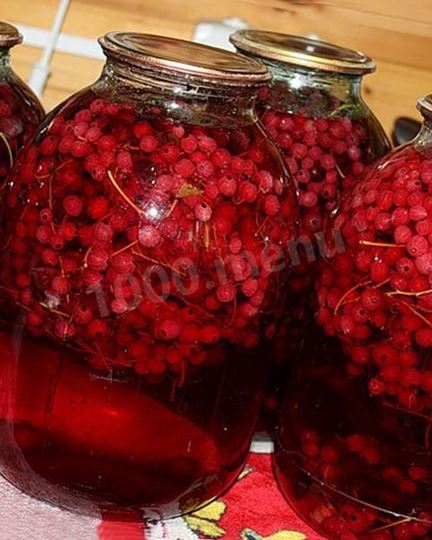 Рецепт компота на зиму из красной и белой смородины