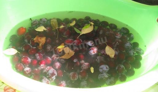 сливовый компот из сливы с косточками