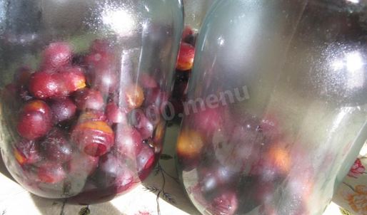 сливовый компот из сливы с косточками