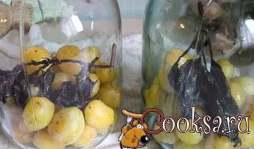 сливовый компот с базиликом на зиму