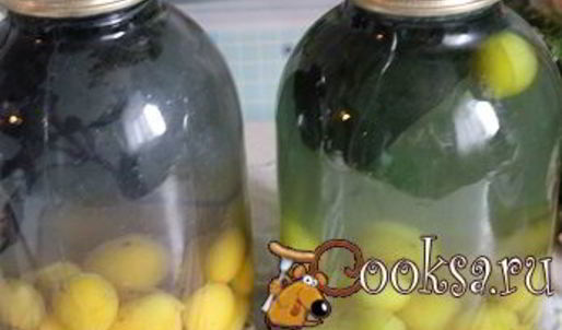 сливовый компот с базиликом на зиму