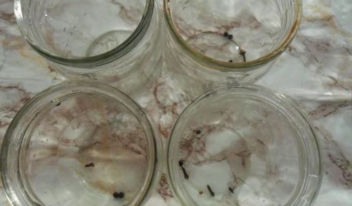 консервированные кабачки с кетчупом чили на зиму