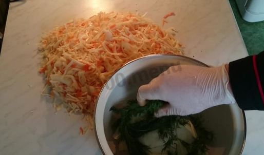 квашеная капуста