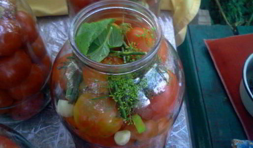 квашенные помидоры по-русаковски