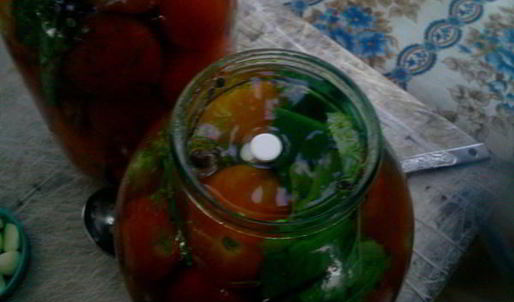 квашенные помидоры по-русаковски