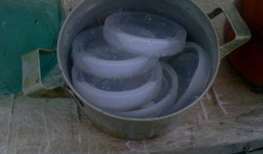 квашенные помидоры по-русаковски