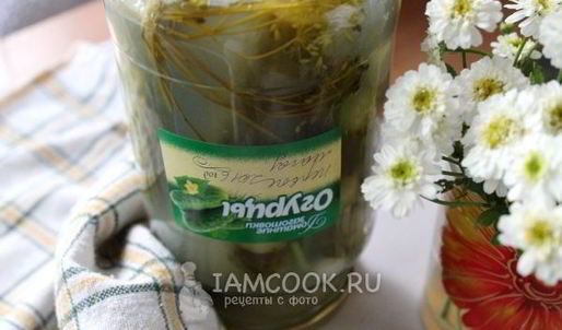квашеные огурцы на зиму без уксуса