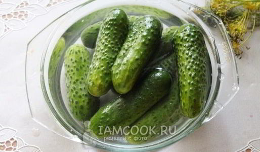 квашеные огурцы на зиму без уксуса