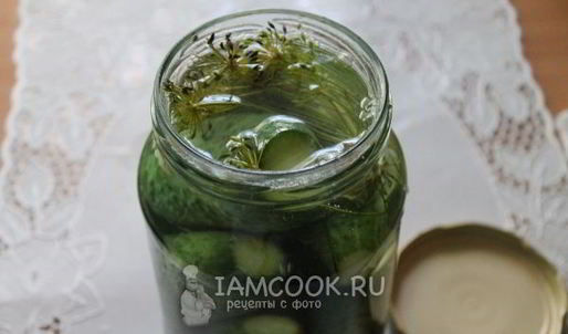 квашеные огурцы на зиму без уксуса