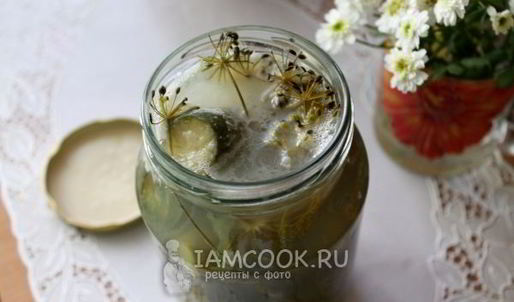 квашеные огурцы на зиму без уксуса