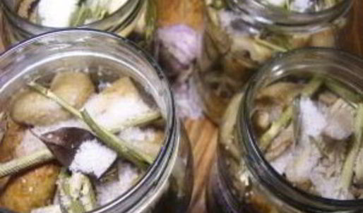грузди соленые маринованные