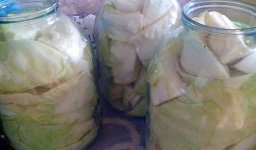 капуста маринованная пластинками