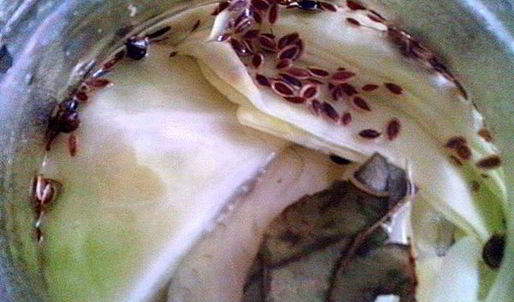 капуста маринованная пластинками