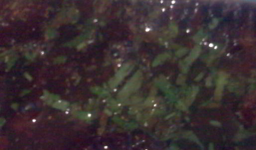 маринованная свекла по-грузински