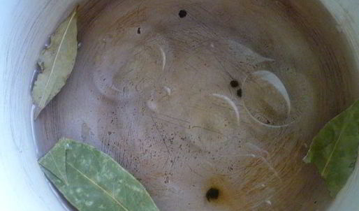 маринованный болгарский перец