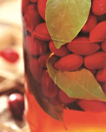 Рецепт маринованного кизила