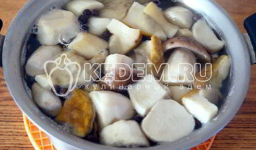 маринованные белые грибы закусочные