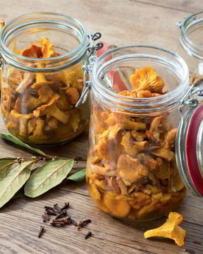 Маринованные лисички