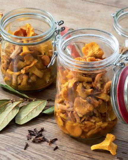 Рецепт маринованных лисичек