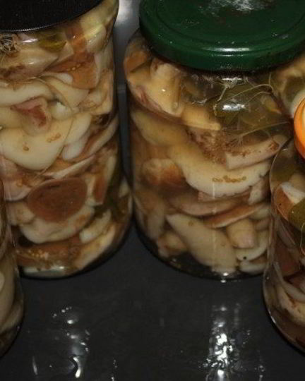 Рецепт маринованных маслят в масле