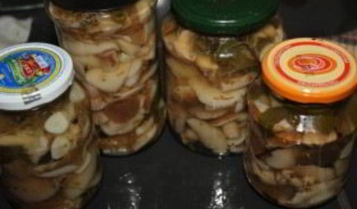 маринованные маслята в масле