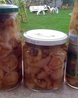 Маринованные маслята жареные