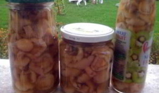 маринованные маслята жареные